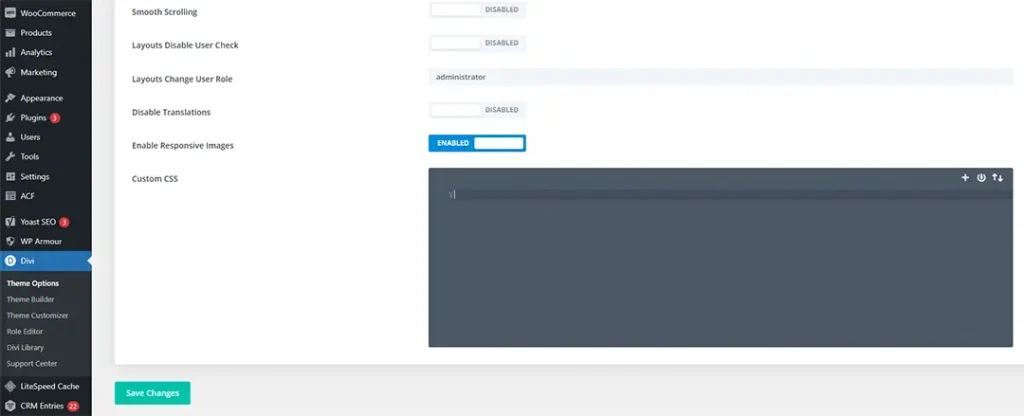 Divi Theme Options Custom CSS Settings